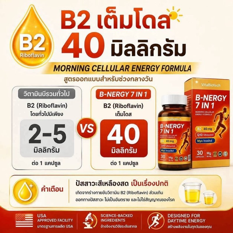 B-Nergy 7 in 1