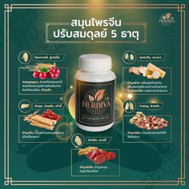 Herbiva Capsule