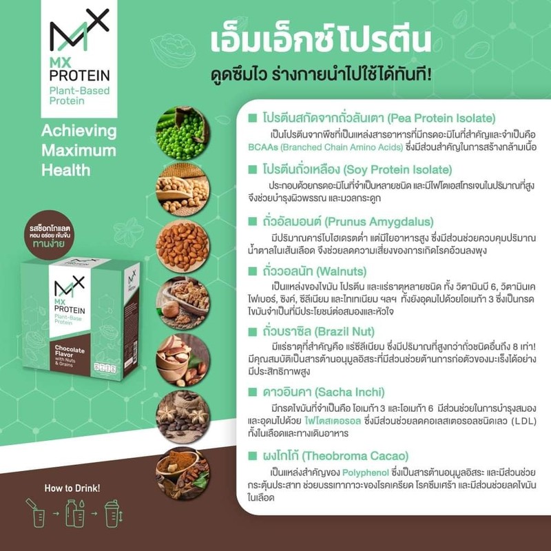 MX PROTEIN